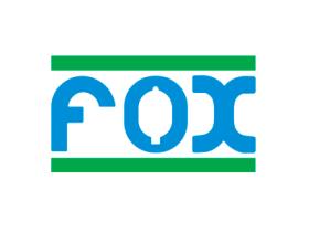 SUBFAMILIA DE FOX  FOX