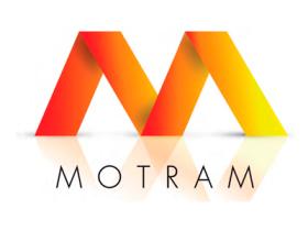 Motram 1310800 - ROTULA METAL / TERMINAL L19 M8 - BOLA 10