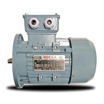 Motor 4 Polos IP56 - B5