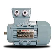 Motor 4 Polos IP56 - B14