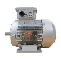 Motor 4 Polos IP55 - B3