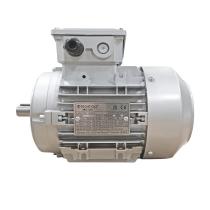 Motor 4 Polos IP55 - B14