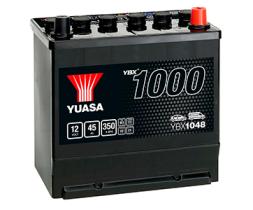 YBX1000