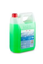 Iada 50527 - C.C.20% 5 L(VERDE)