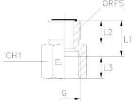 CAST RACORERIA & TUBERIA 401004 - ADAPTADOR MF ORFS 1"-HF BSP 1/2