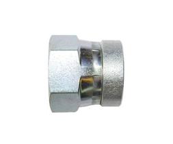 CAST RACORERIA & TUBERIA 407608 - TAPON TL ORFS 2"