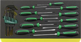 Stahlwille 96830126 - JUEGO HERRAMIENTAS, SISTEMA BANDEJAS TOOL CONTROL