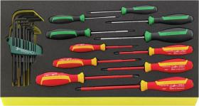 Stahlwille 96830127 - JUEGO HERRAMIENTAS, SISTEMA BANDEJAS TOOL CONTROL