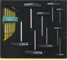 Stahlwille 96832099 - JUEGO DE DESTORNILLADORES EN BANDEJA TCS