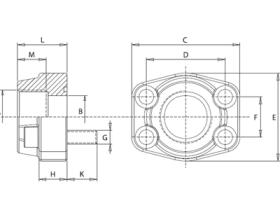 Bridas SAE BS340 - BRIDA SAE 3000PSI ROSCA 2"1/2 BSP (F110G212)