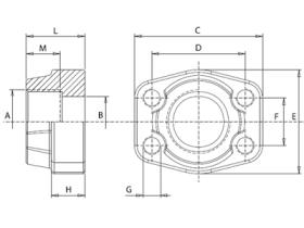 Bridas SAE CBS306 - CONTRABRIDA SAE 3000PSI ROSCA 3/8" BSP (CFM080G038)